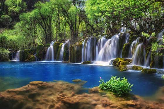 九寨沟风景区15458