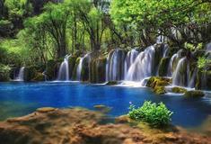 九寨沟风景区：箭竹海