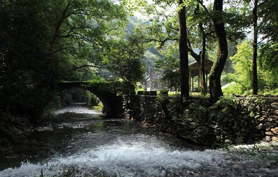 婺源江岭景区15587