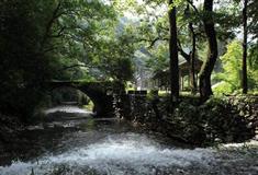 婺源江岭：村落水口