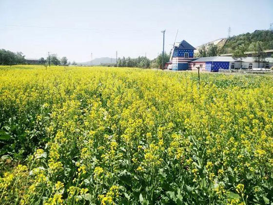 大连铭湖国际温泉滑雪度假区15755
