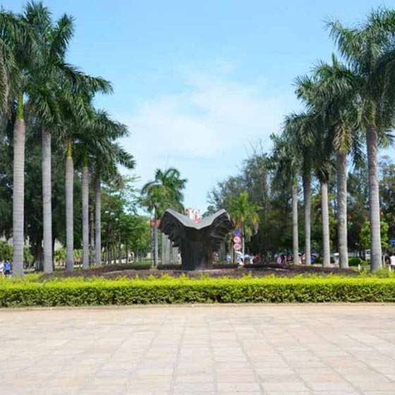 厦门大学15531