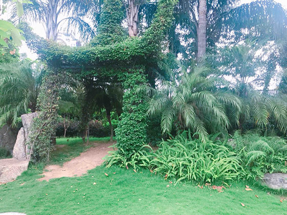 福州茶亭公园介绍及游玩景点推荐