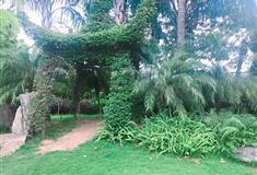 福州茶亭公园介绍及游玩景点推荐