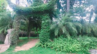 福州茶亭公园介绍及游玩景点推荐