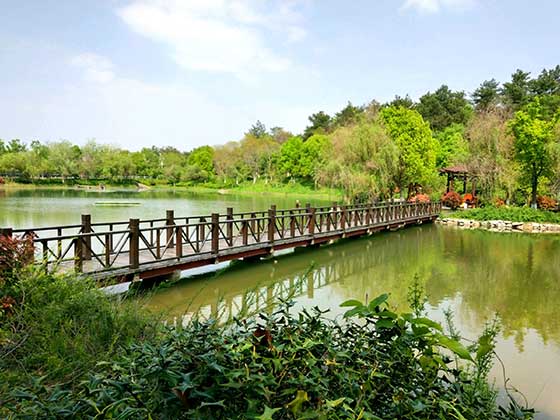 南京游子山休闲旅游区介绍及游玩景点推荐 南京游子山休闲旅游区介绍及游玩景点推荐