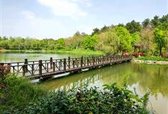 南京游子山休闲旅游区介绍及游玩景点推荐