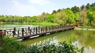 南京游子山休闲旅游区介绍及游玩景点推荐 南京游子山休闲旅游区介绍及游玩景点推荐