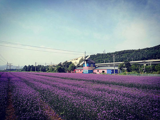 大连铭湖国际温泉滑雪度假区15744