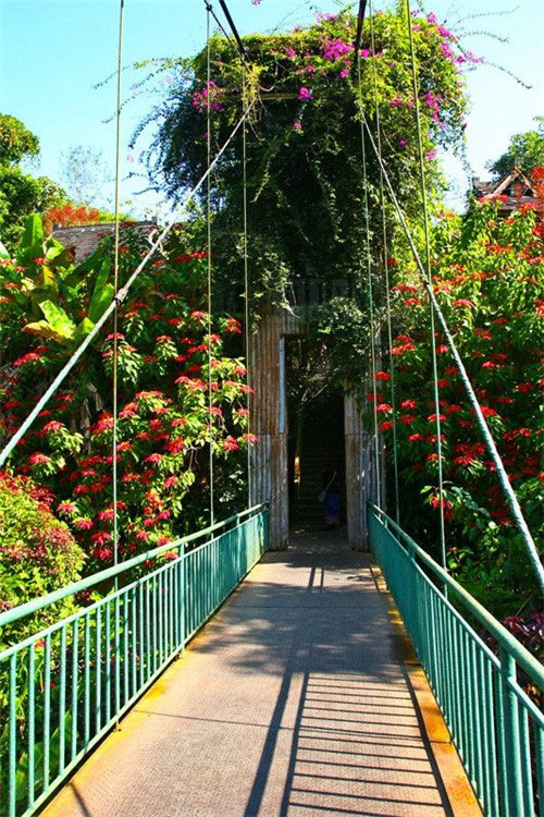 石家庄植物园15558