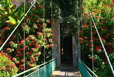 石家庄植物园：园林研究所