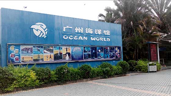 广州海洋馆介绍及游玩景点推荐