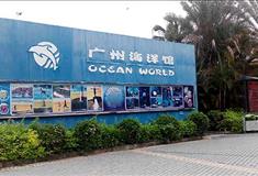 广州海洋馆介绍及游玩景点推荐