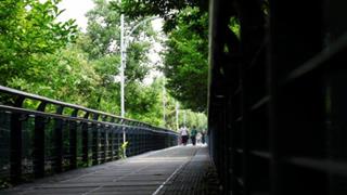 徐家汇公园:长廊 徐家汇公园:长廊