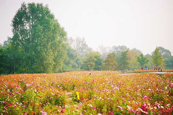 北京奥林匹克公园介绍及游玩景点推荐 北京奥林匹克公园介绍及游玩景点推荐