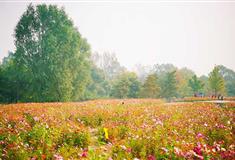 北京奥林匹克公园介绍及游玩景点推荐