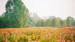 北京奥林匹克公园介绍及游玩景点推荐