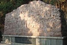 泰山三义柏有什么好看的