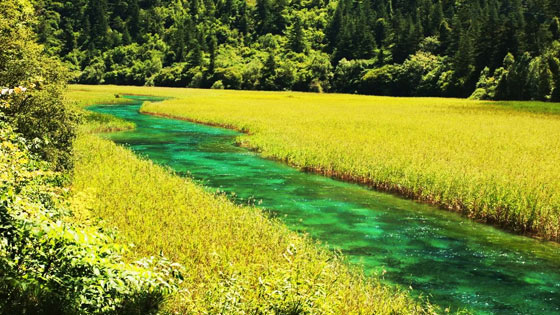 九寨沟风景区15464