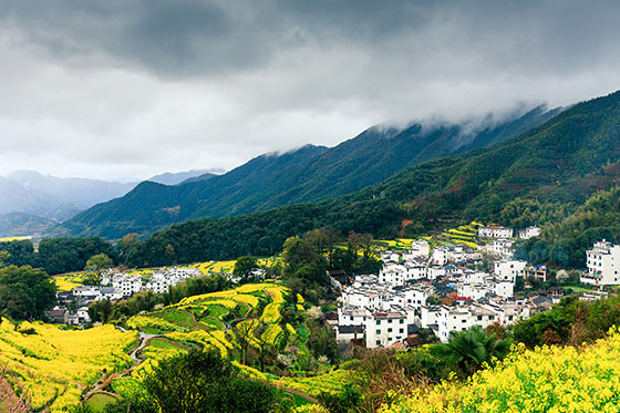 婺源江岭景区介绍及游玩景点推荐 婺源江岭景区介绍及游玩景点推荐