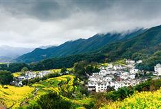 婺源江岭景区介绍及游玩景点推荐