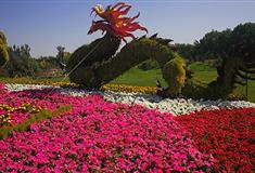 乌鲁木齐植物园介绍及游玩景点推荐