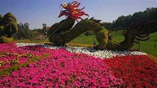 乌鲁木齐植物园怎么玩？附游玩路线