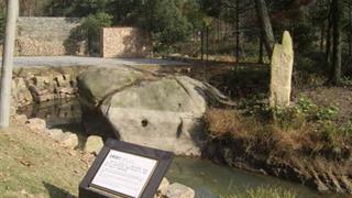 九华天池旅游景区：金蟾迎宾