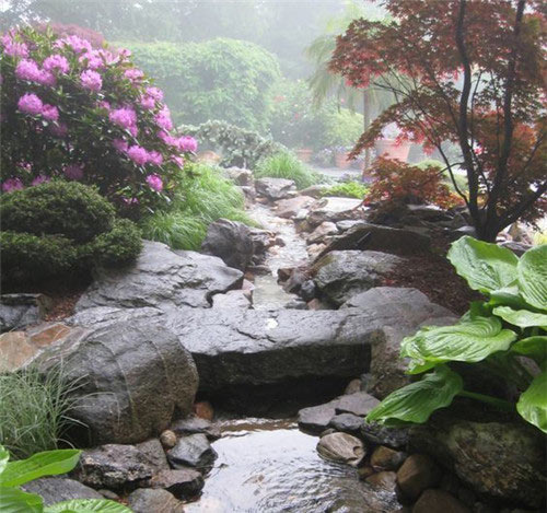 石家庄植物园15556