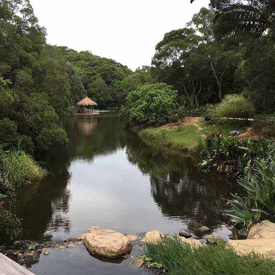 厦门大学思源谷 厦门大学思源谷