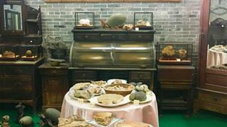 故乡里主题公园炸煎墟蜡像有什么好看的 故乡里主题公园炸煎墟蜡像有什么好看的