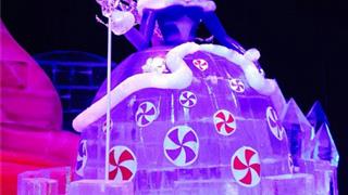 石家庄植物园：冰雕大世界