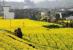 婺源江岭：方婆遗风