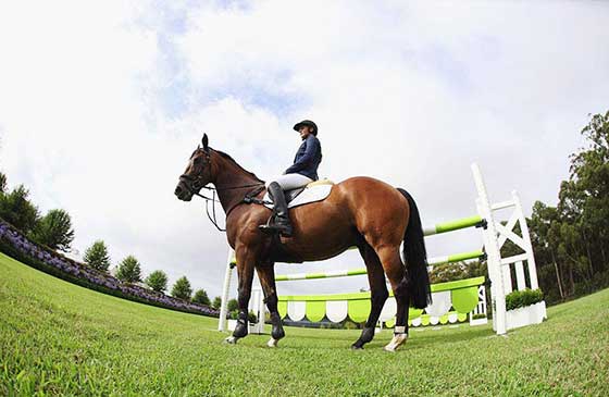 泰山花样年华景区15307