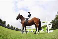 泰山花样年华景区：天骏国际马术俱乐部