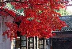 寄畅园郁盘廊有什么好看的