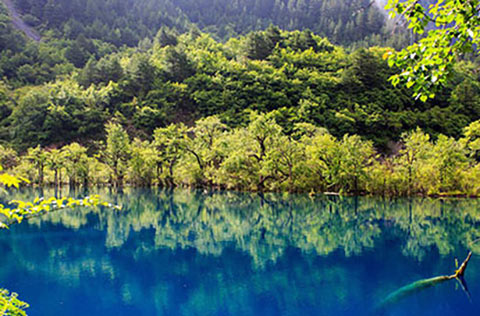 九寨沟风景区15468