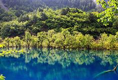 九寨沟风景区：老虎海