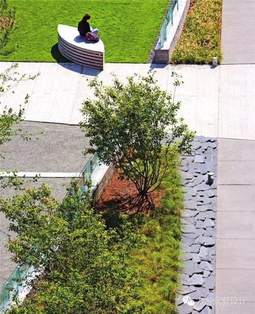 石家庄植物园15573