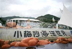 小梅沙海洋世界介绍及游玩景点推荐
