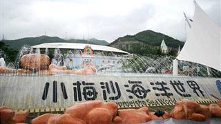 小梅沙海洋世界介绍及游玩景点推荐