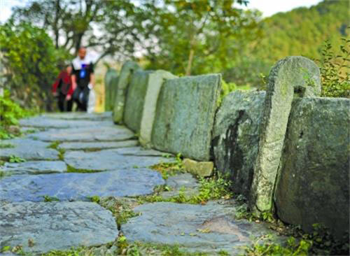 婺源江岭景区15591