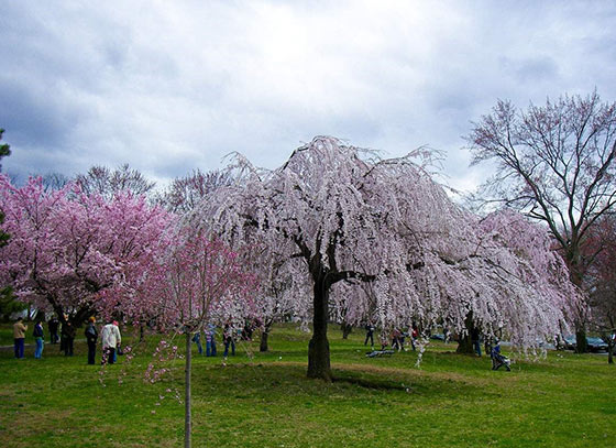 大连铭湖国际温泉滑雪度假区15754