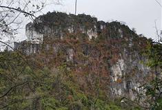 桂林南溪山景区介绍及游玩景点推荐