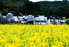 婺源江岭：江岭亭