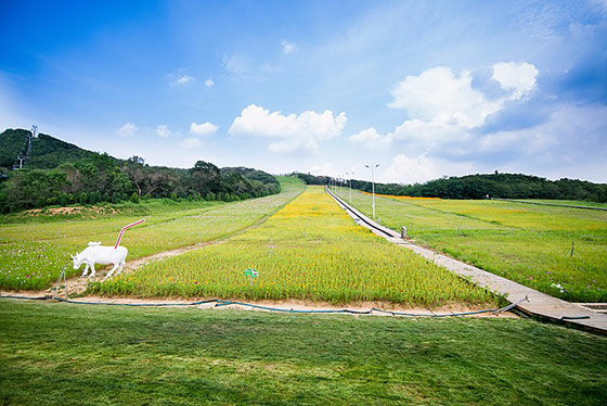 大连铭湖国际温泉滑雪度假区15752