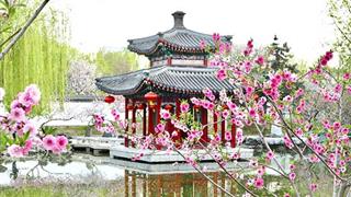 北京大观园怎么玩？附游玩路线