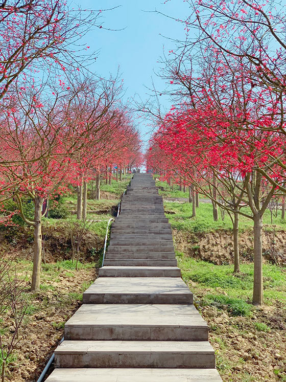 五洲生态园介绍及游玩景点推荐