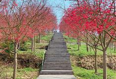 五洲生态园介绍及游玩景点推荐