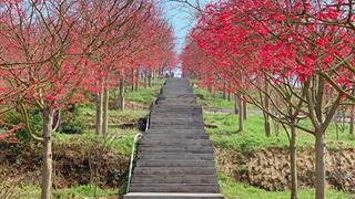 五洲生态园介绍及游玩景点推荐